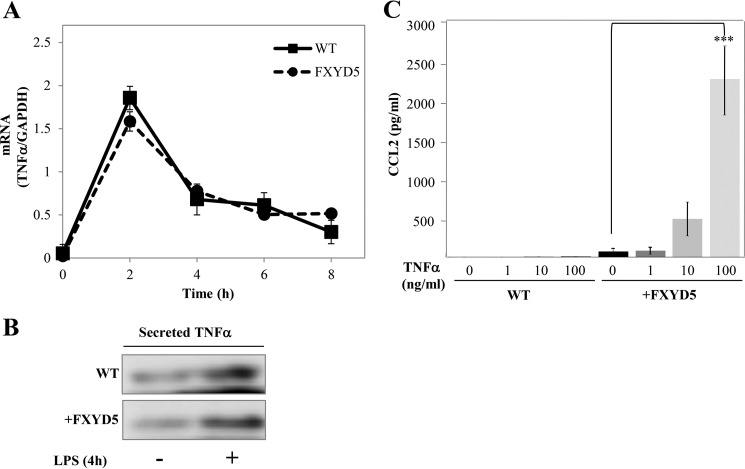 FIGURE 5.