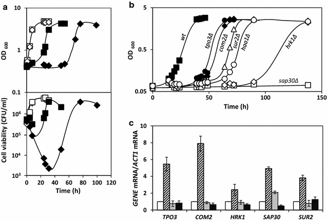 Fig. 2