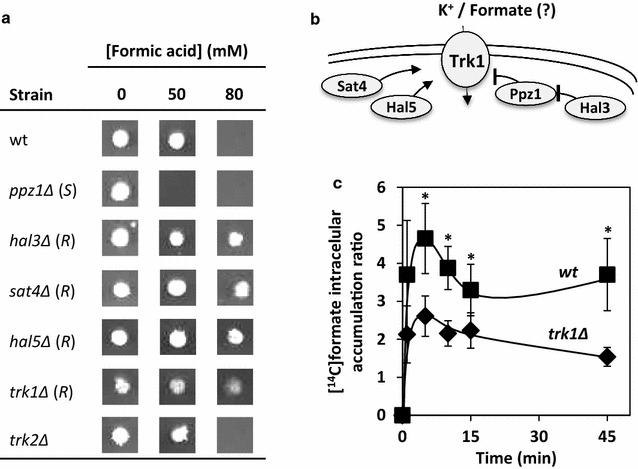 Fig. 3