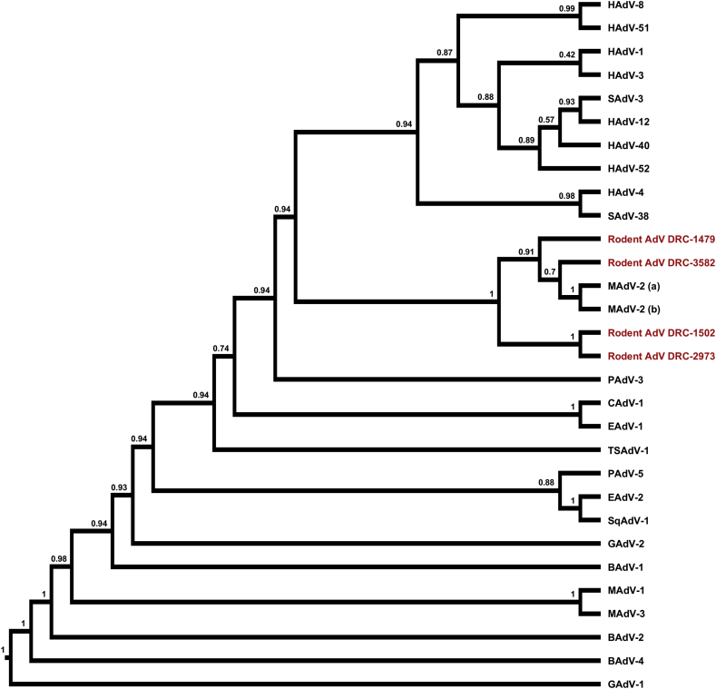 Fig. 2