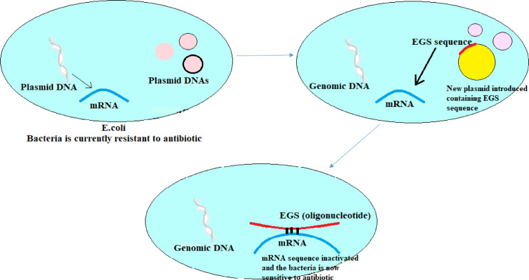 Fig 5