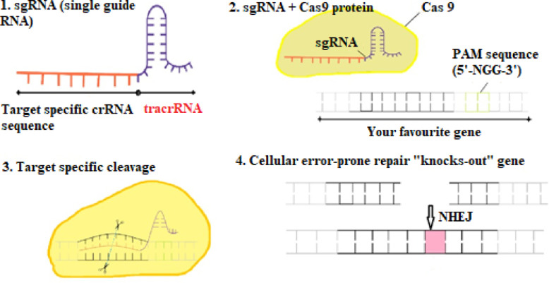 Fig 9