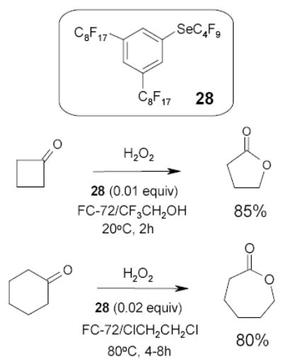 Scheme 19