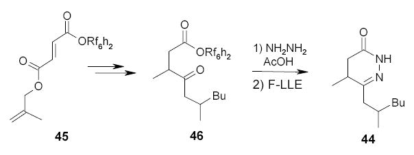 Scheme 29