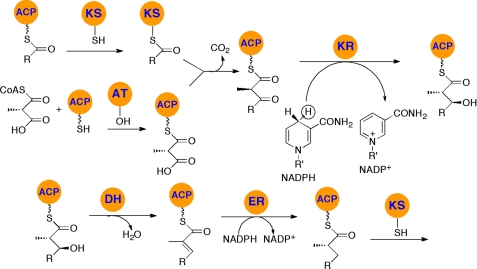 FIGURE 2.
