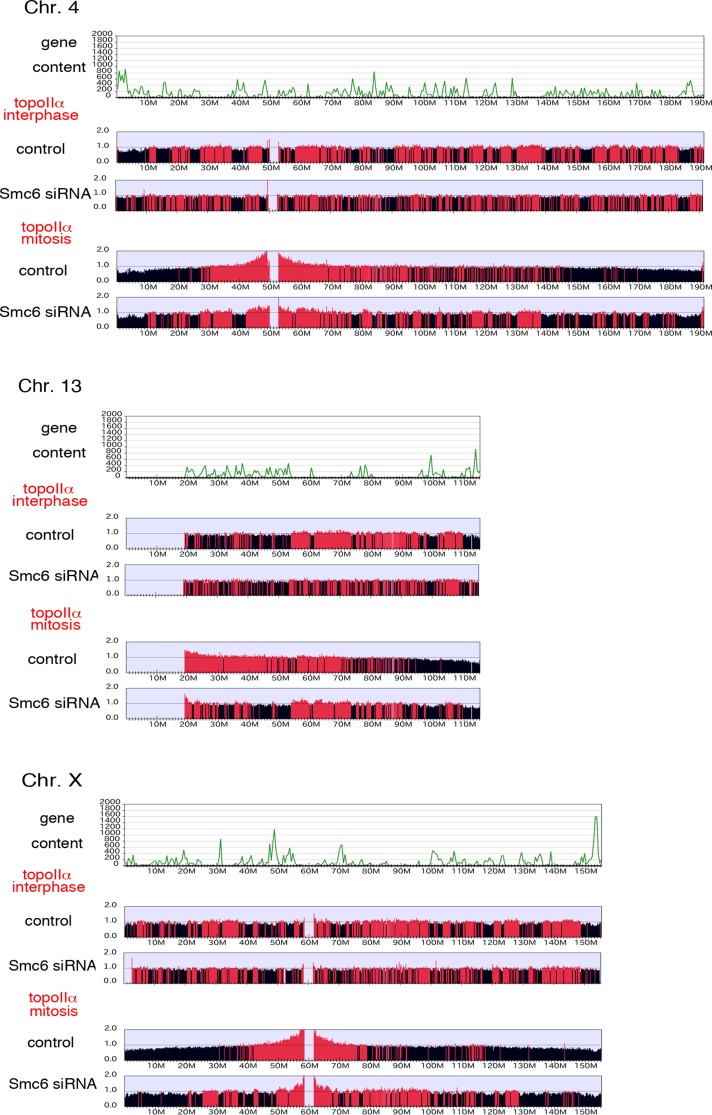 FIGURE 6: