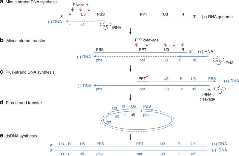 Fig. 12.10