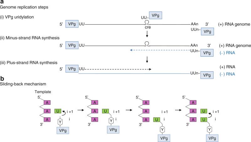 Fig. 12.5