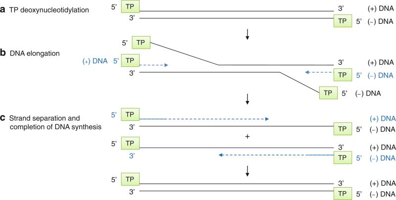 Fig. 12.12