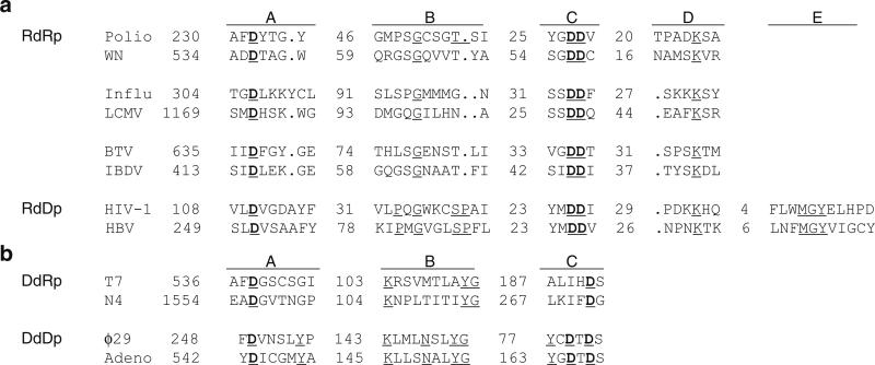 Fig. 12.3