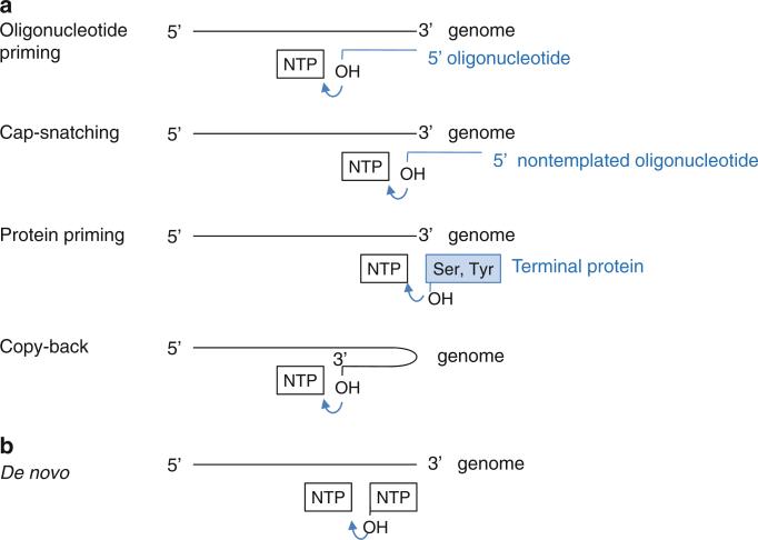 Fig. 12.4