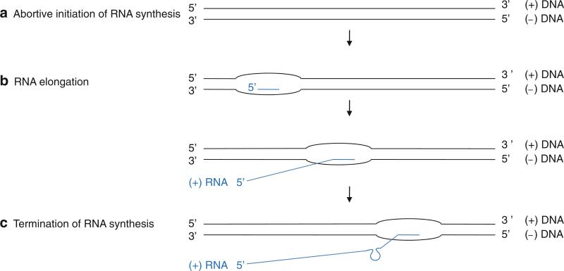 Fig. 12.14