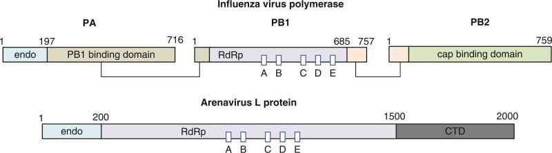 Fig. 12.9