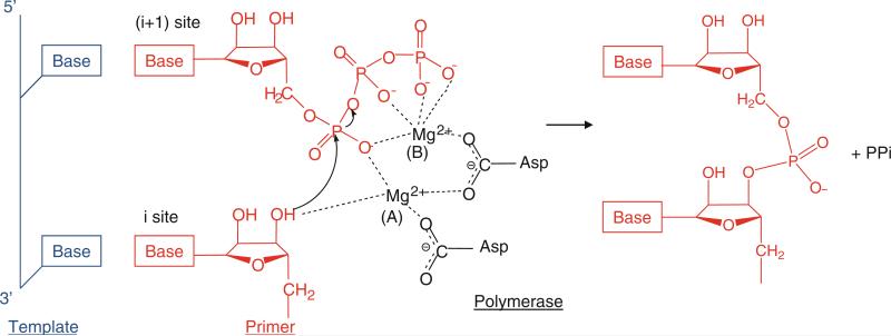 Fig. 12.2