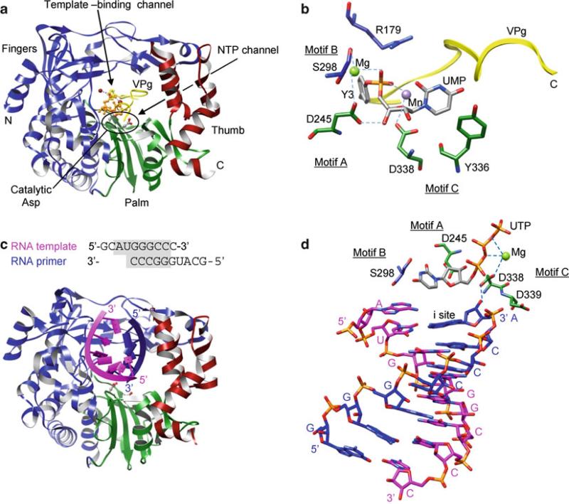 Fig. 12.6