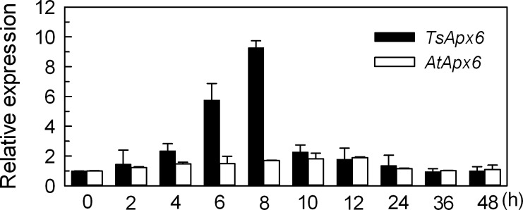 Fig 1