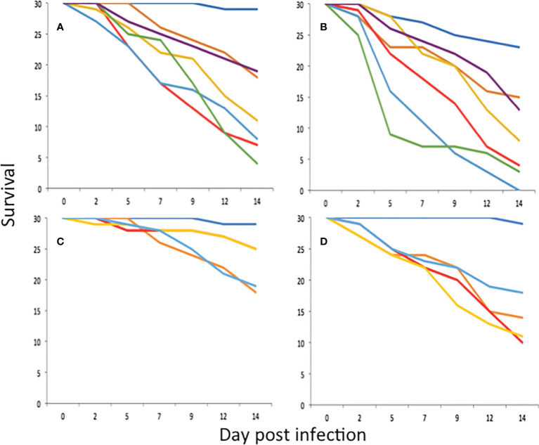 Figure 2