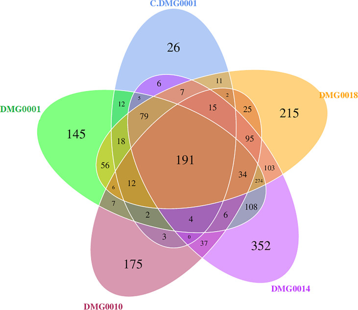 Figure 6