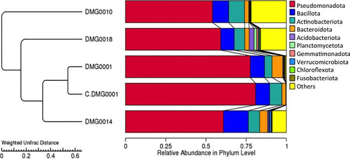 Figure 5