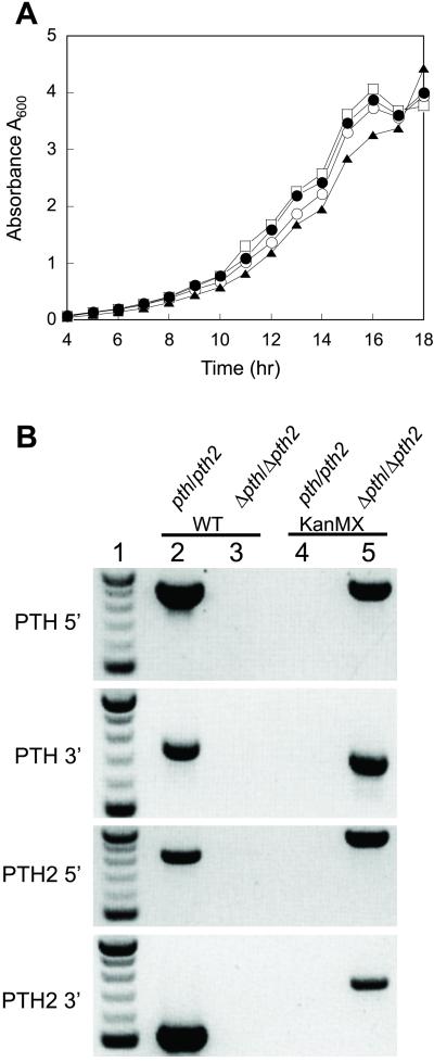 Fig 4.