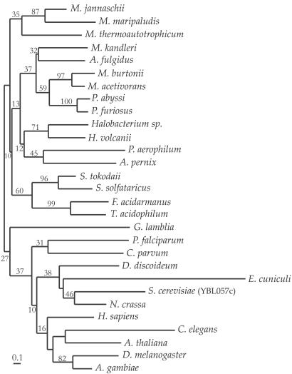 Fig 3.