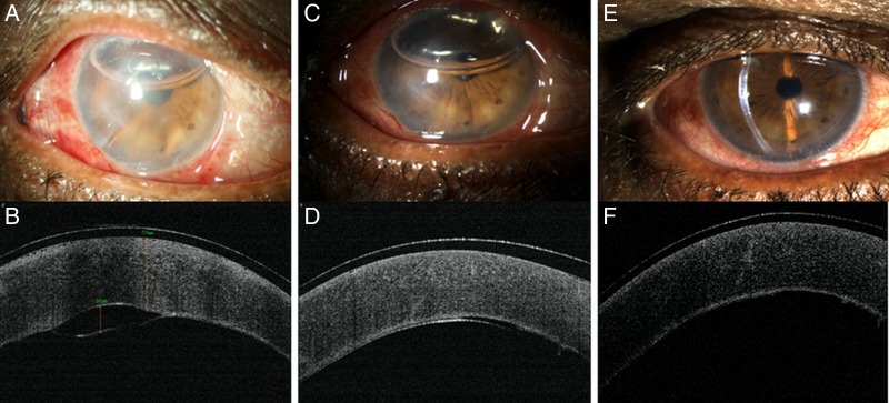 Figure 3