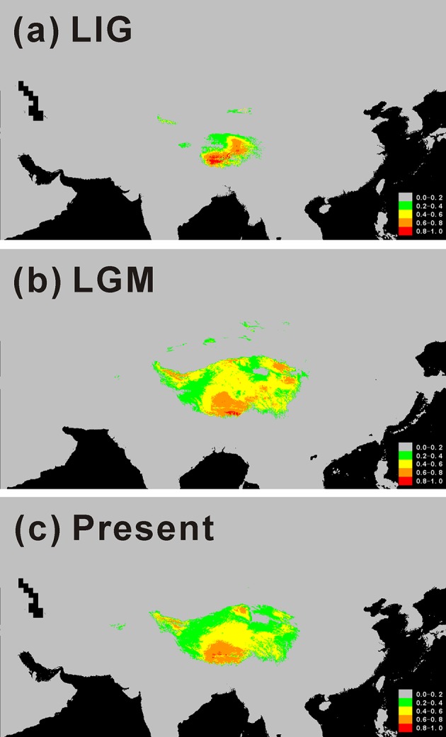 Figure 5