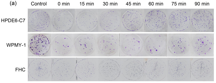 graphic file with name JZhejiangUnivSciB-22-9-774-g003a.jpg