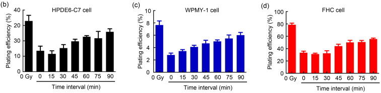 graphic file with name JZhejiangUnivSciB-22-9-774-g003b.jpg