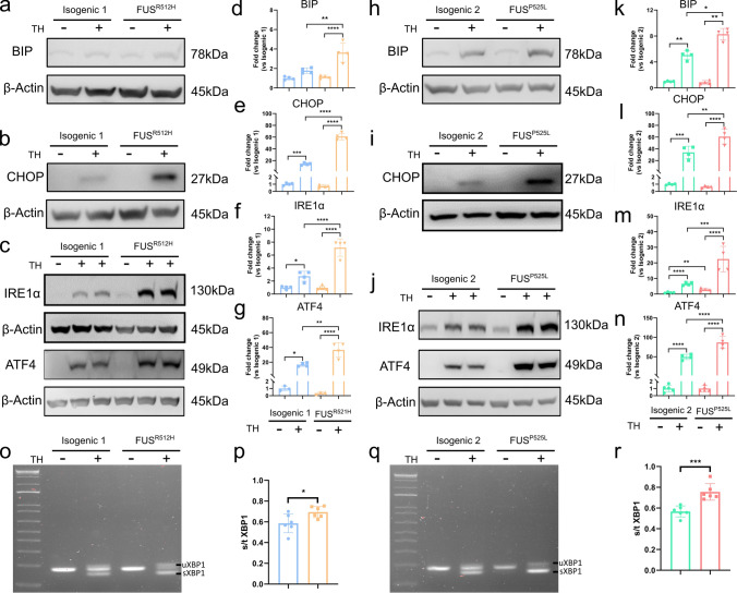 Fig. 7