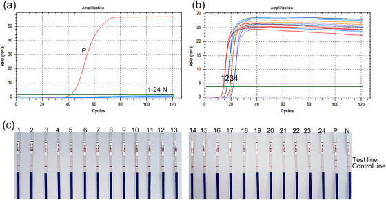 FIGURE 2