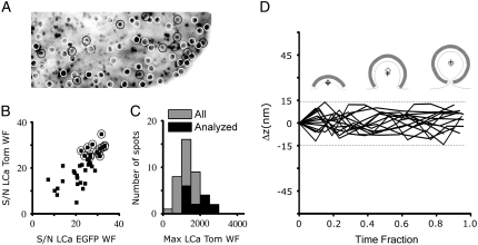 FIGURE 4