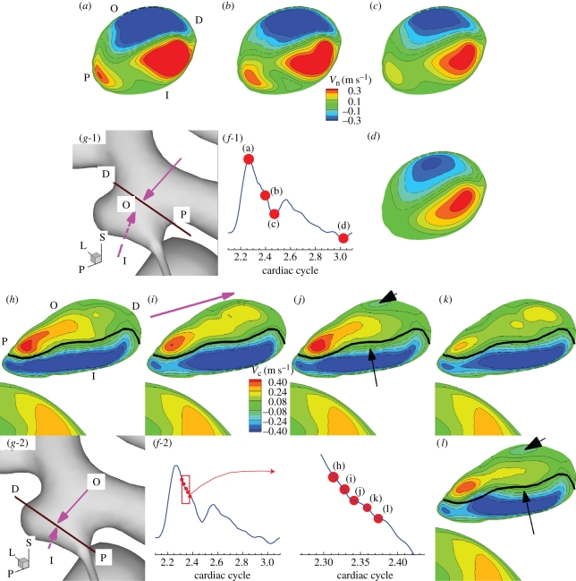 Figure 12.