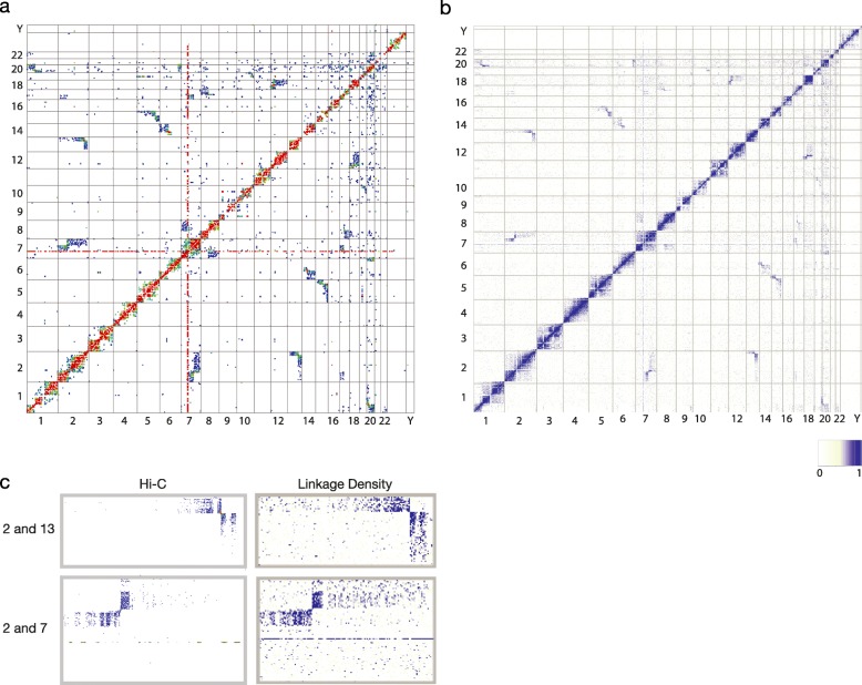 Fig. 4