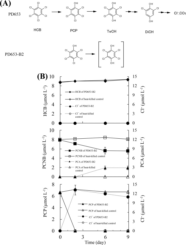 FIG 1