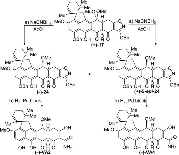 Scheme 6