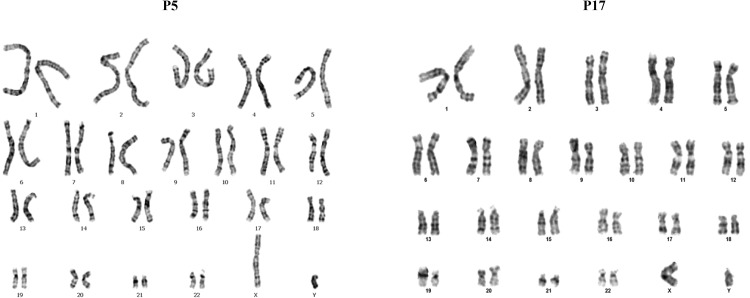 Fig. 7