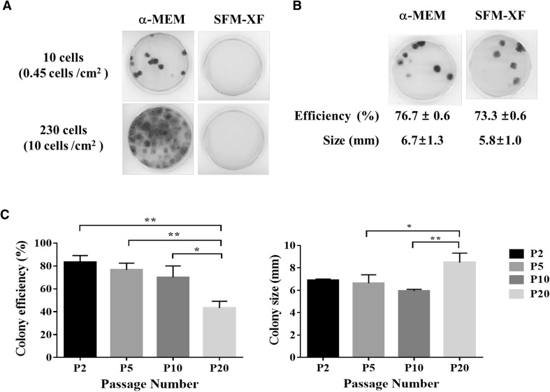 Fig. 3