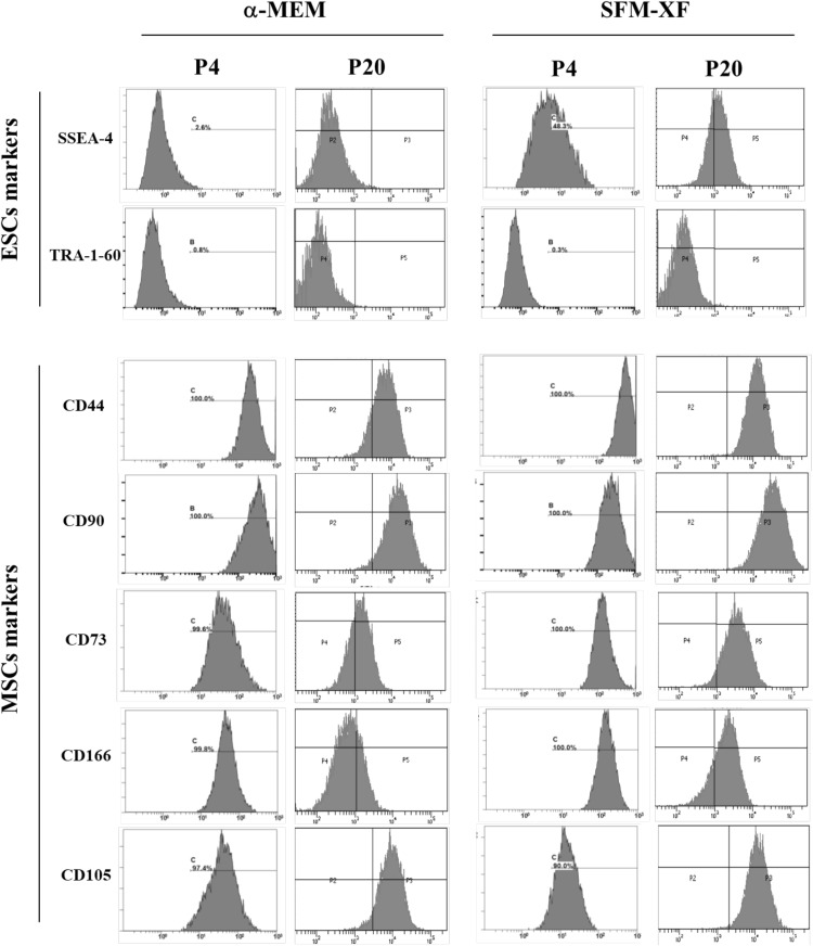 Fig. 4