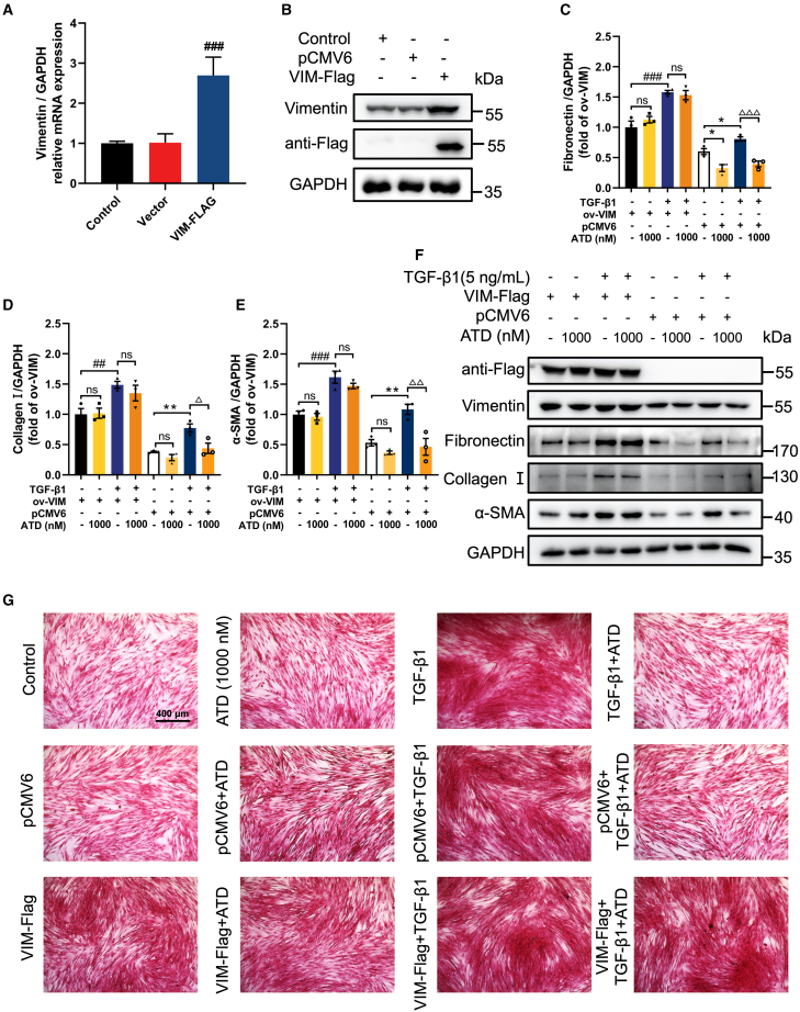 Figure 6