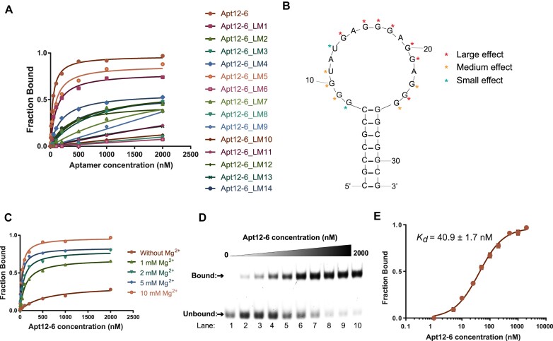 Figure 2.