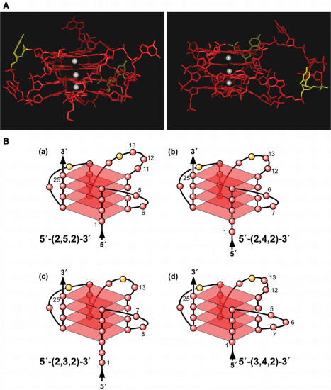 Figure 9.