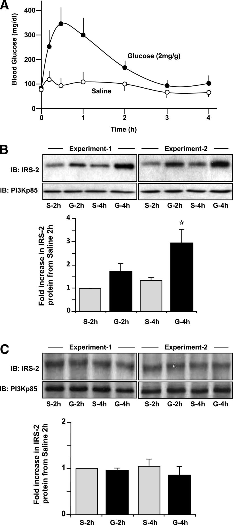 FIG. 1.