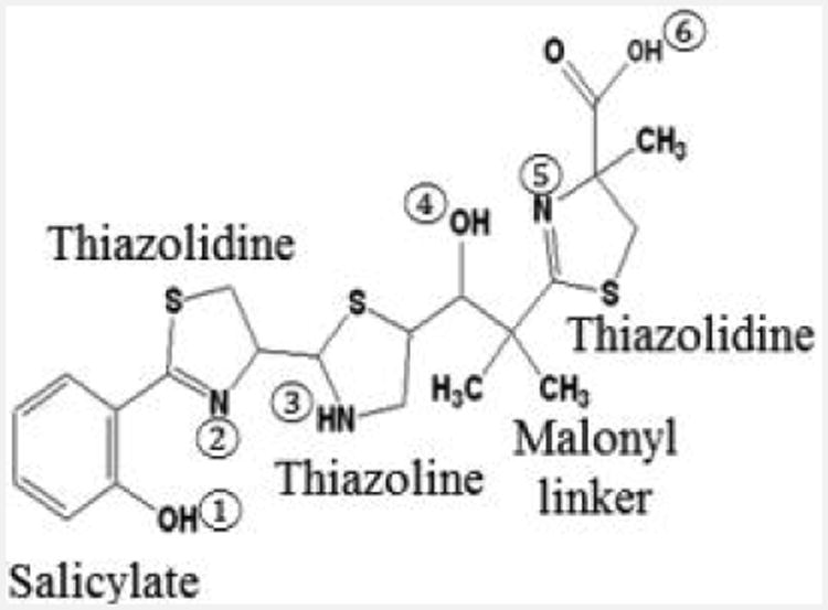 Fig. 4