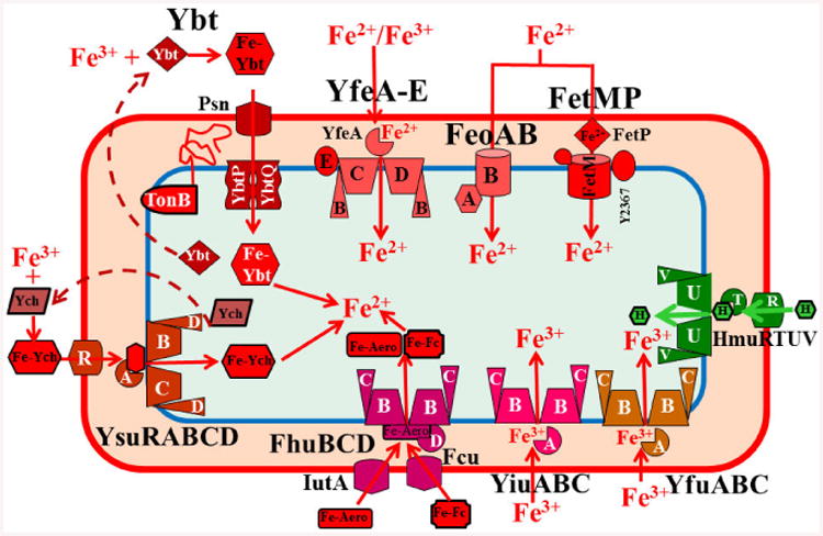 Fig. 1