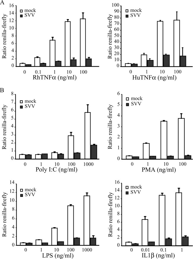 FIG 1