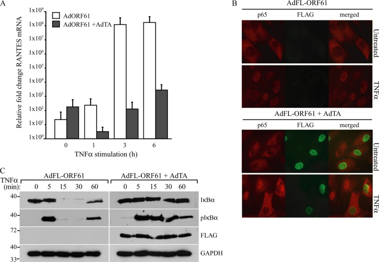 FIG 3