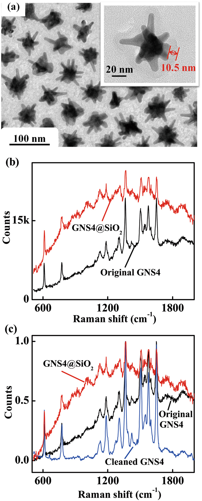 Figure 7