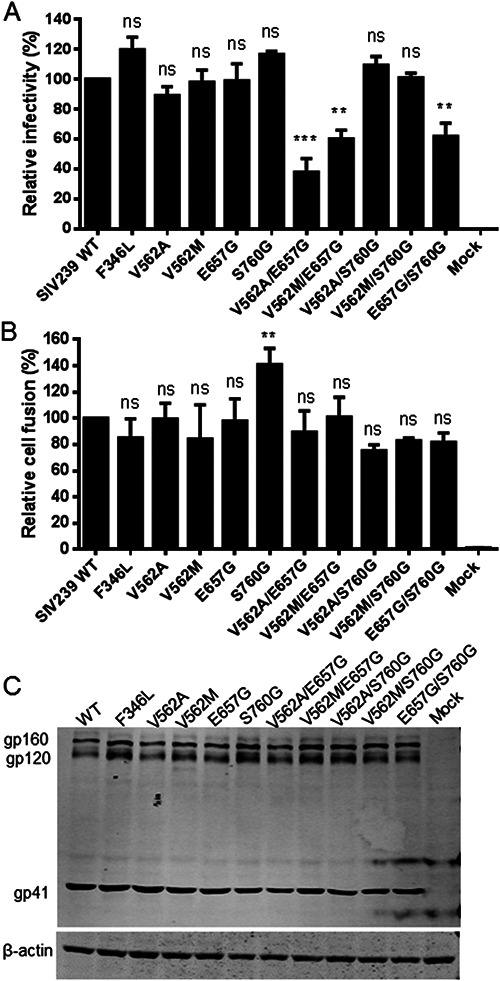 FIG 4