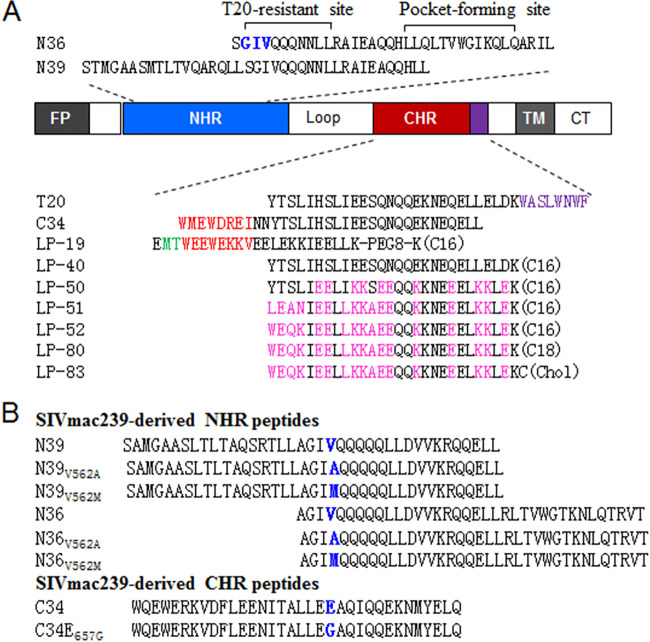 FIG 1